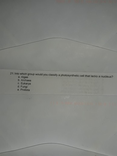 21. Into which group would you classify a photosynthetic cell that lacks a nucleus? a Algae b. Archaea c. Eukarya d. Fungi e.