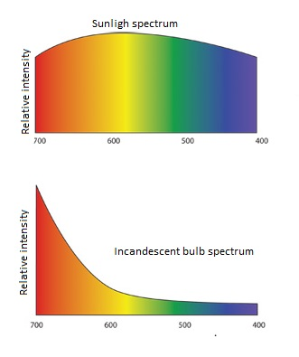 Sunligh spectrum Relative intensity 500 Relative intensity Incandescent bulb spectrum