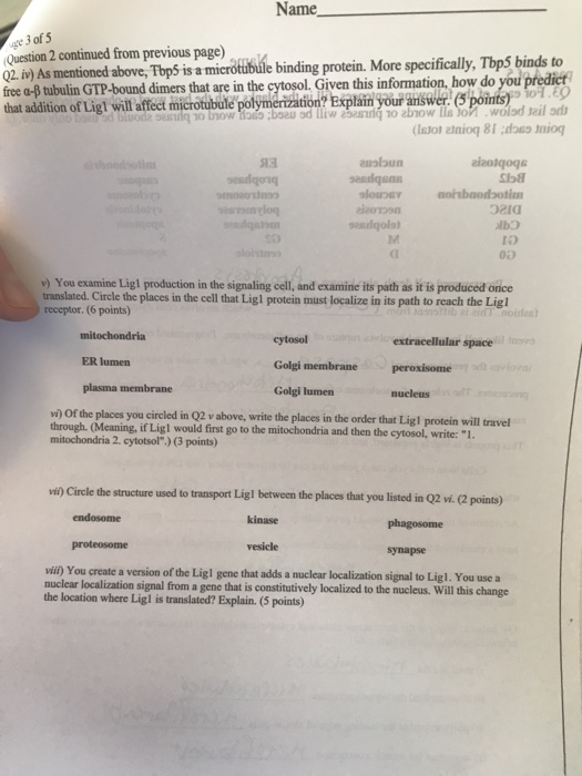 Name e 3 of 5 Question 2 continued from previous page) Q2. iv) As mentioned above, Top5 is a microtubule binding protein. Mor