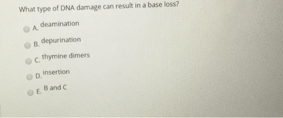 What type of DNA damage can result in a base loss? A deamination B. depurination c. thymine dimers insertion E. B and C