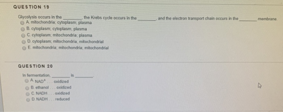 QUESTION 19 and the electron transport chain occurs in the membrane. Glycolysis occurs in the the Krebs cycle occurs in the A