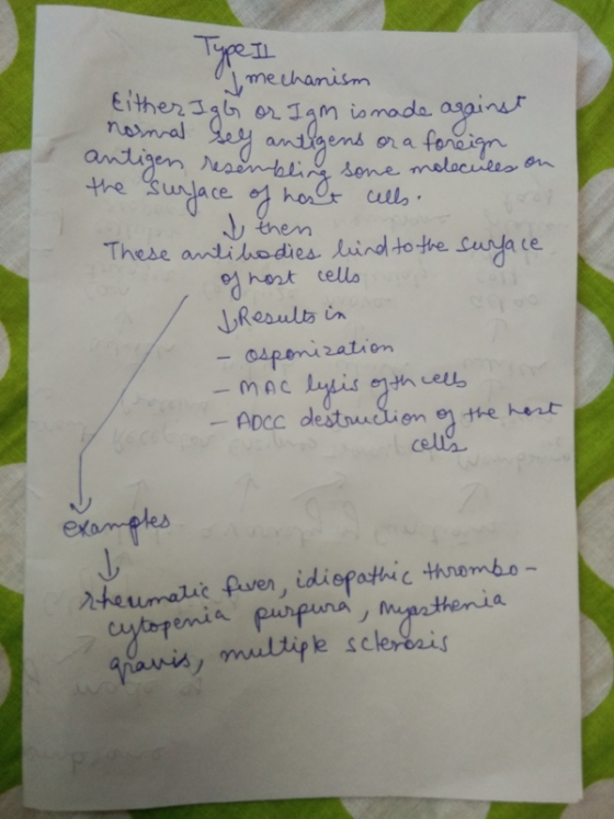methanism Either 3gb or3m anhgens io made agins nosnal ora foncign sone melocileo on antigen Neaintali the Sdace holr ull Jth