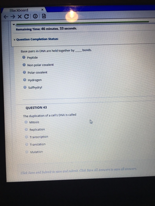 Blackboard + → XCO Remaining Time: 46 minutes, 33 seconds. Question Completion Status: bonds. Base pairs in DNA are held toge