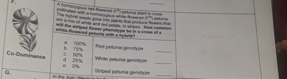 homozygous red-Towered (FR) petunia plant is cross- pollinated with a homozygous white-flowered (FW) petunia The hybrid seeds