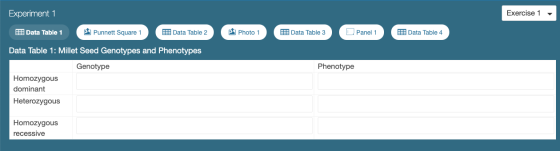 Experiment 1 Exercise 1 - Data Table 1 Punnett Square 1 Data Table 2 Photo 1 Data Table 3 O Panel 1 Data Table 4 Data Table 1