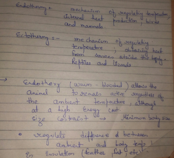 Endothermy a I mechanism internal heat and mammals. of of regulating temperature, reculatine temperature production , birde E