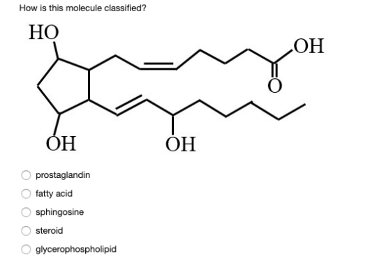How is this molecule classified? НО НО ОН ОН ОН O prostaglandin fatty acid Osphingosine steroid glycerophospholipid