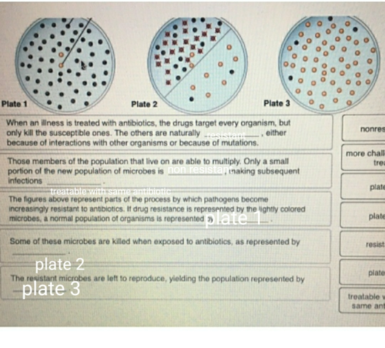 Plate 1 Plate 2 Plate 3 When an illness is treated with antibiotics, the drugs target every organism, but only kill the susce