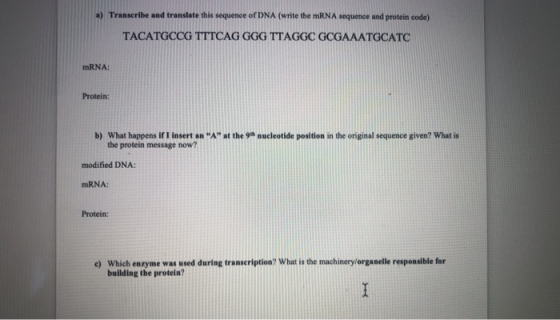 a) Transcribe and translate this sequence of DNA (write the mRNA sequence and protein code) TACATGCCG TTTCAG GGG TTAGGC GCGAA