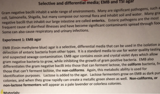 Selective and differential media; EMB and Tsl agar bacill inhabit a wide range of environments. Many are significant pathogens, such a coli, Salmonella, Shigella, but many compose our normal flora and inhabit soil and water. Many gra negative bacilli that inhabit our large intestine are called enterics. Enteric pathogens are the most frequent cause of diarrheal illnesses and have become significant contaminants spread through foo Some can also cause respiratory and urinary infections. Experiment 1: EMB agar EMB (Eosin methylene blue) agar is a selective, differential media that can be used in the isolationa detection of enteric bacteria from other types. It is a standard media to use for water quality testing and suspected sewage contamination. EMB agar contains eosin and crystal violet dyes which allow gram negativ e bacteria to grow, while inhibiting the growth of gram positive bacteria. EMB also differentiates the gram negative bacilli into those that can ferment lactose, the coliform bacteria, fre those that cant ferment lactose, the non-coliforms. Again, this metabolic ability is used for identification purposes. Lactose is added to the agar. Lactose fermenters grow on EMB as dark pur colonies, and when they grow rapidly can create a metallic green sheen as well. Non-coliforms, or non-lactose fermenters will appear as a pale lavender or colorless colonies. Materials