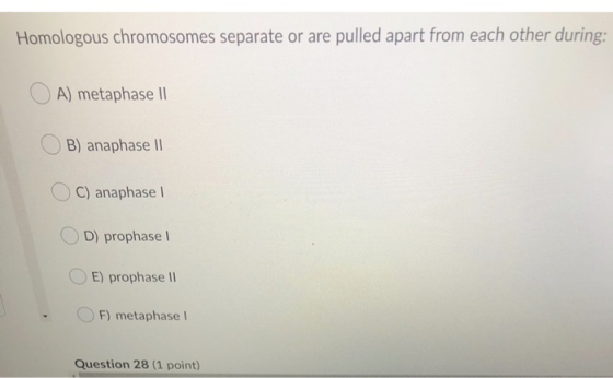 Homologous chromosomes separate or are pulled apart from each other during: A) metaphase II B) anaphase II C) anaphase 1 D) p