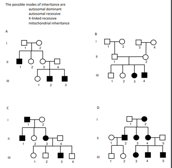 The possible modes of inheritance are autosomal dominant autosomal recessive X-linked recessive mitochondrial inheritance ||