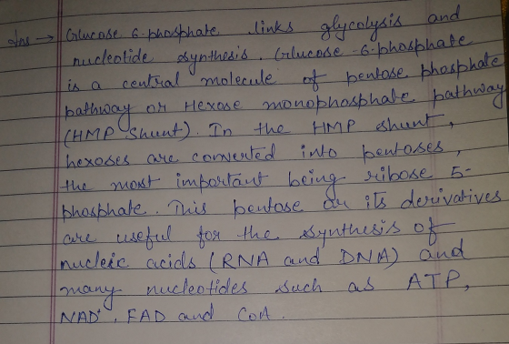 ans Glucose 6 phosphate links glycolysis and nucleotide synthesis Glucose -6.bhasphate is a central molecule of enlose phosph