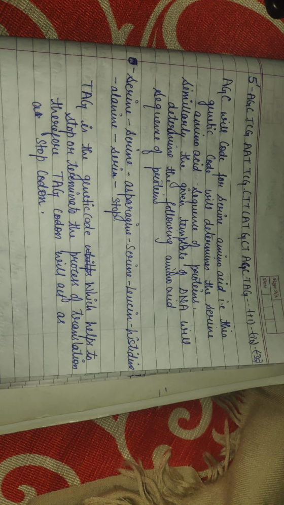 Phiye Na Date genetic Code and AGC will code for serine amino acid in this will determines the serine amino acid lequence of