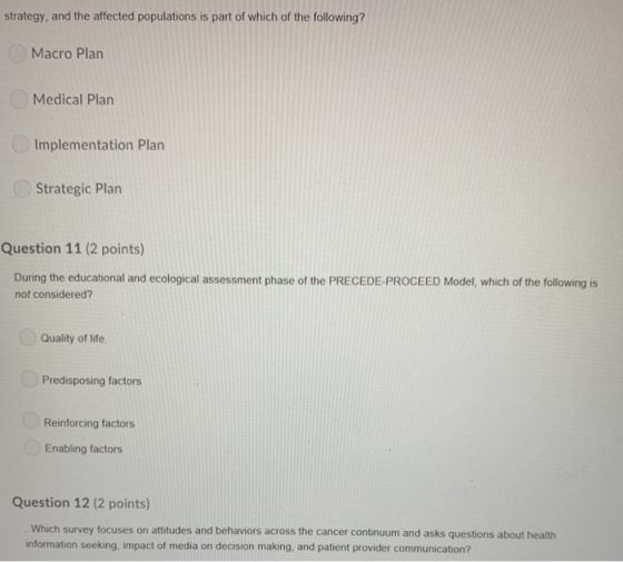 strategy, and the affected populations is part of which of the following? Macro Plan Medical Plan Implementation Plan Strateg