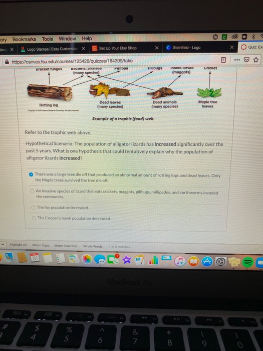 2 * Olc C Steinfeld - Logo X Quiz: Ex ory Bookmarks Tools Window Help moc. X & Logo Stampa Eany Customiza X E Set Up Your Ets