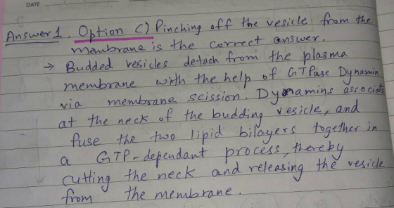 DATE Ansuwer Option Pinching aff the vesicle iom the mewbrane is the corrcet answer Budded vesicles de tach from the plasma m