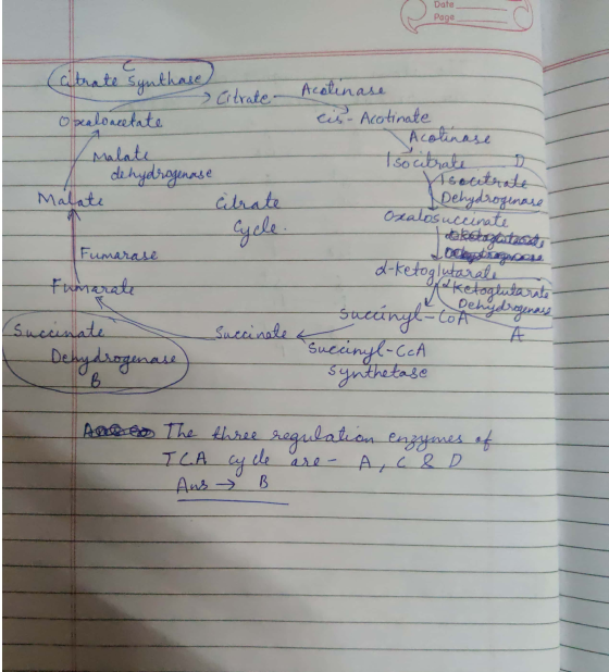 Date Page Citrate Synthase Acotinase > Citrate- pealowcetate eis- Acotinate Acotinase Malate Iso citrate dehydrogenase soutra