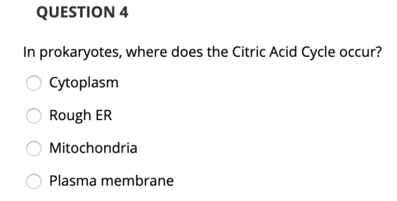QUESTION 4 In prokaryotes, where does the Citric Acid Cycle occur? o Cytoplasm O Rough ER O Mitochondria O Plasma membrane