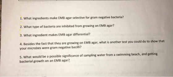 1. What ingredients make EMB agar selective for gram negative bacteria? 2. What type of bacteria are inhibited from growing on EMB agar? 3. What ingredient makes EMB agar differential? 4. Besides the fact that they are growing on EMB agar, what is another test you could do to show that your microbes were gram negative baclli? 5. What would be a possible significance of sampling water from a swimming beach, and getting bacterial growth on an EMB agar?