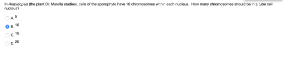 In Arabidopsis (the plant Dr. Marella studies), cells of the sporophyte have 10 chromosomes within each nucleus. How many chr