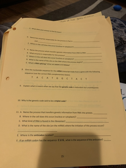 w Of Hors in we C. What does you D. Namewe entrymes responsible for the process in Part A and L. Where in the cell does this