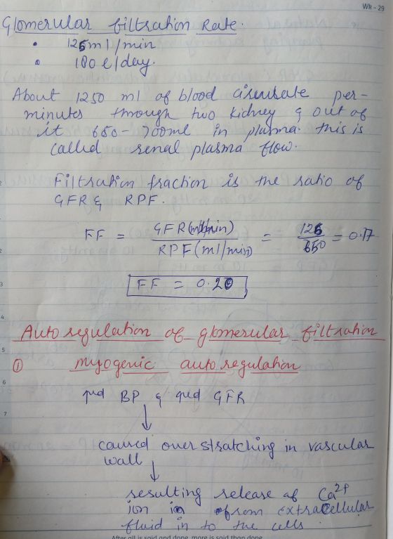 Wk - 29 rate Glomerular biltration 26 ml/min @ 100 el dey. About 1250 ml of blood arousale per- minutes through two kichney e