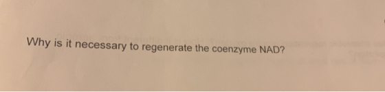 Why is it necessary to regenerate the coenzyme NAD?