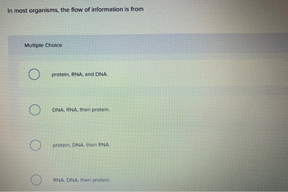 In most organisms, the flow of information is from Multiple Choice Ο protein, RNA, and DNA. Ο DNA, RNA, then protein. Ο prote