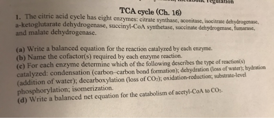 1 Jom L C Tegulation TCA cycle (Ch. 16) 1. The citric acid cycle has eight enzymes: citrate synthase, aconitase, isocitrate d