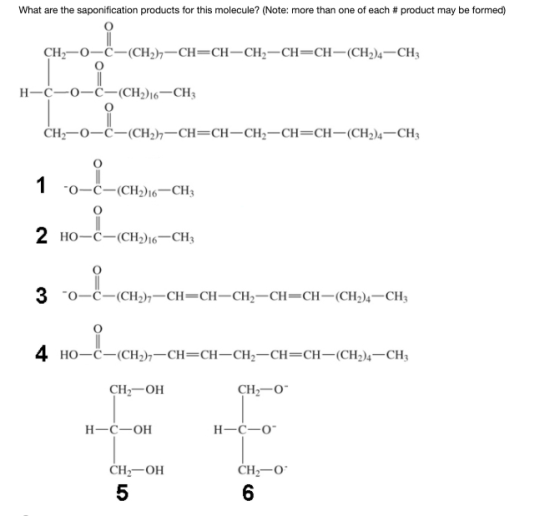 What are the saponification products for this molecule? (Note: more than one of each #product may be formed) CH2-0-C-(CH2)2-C