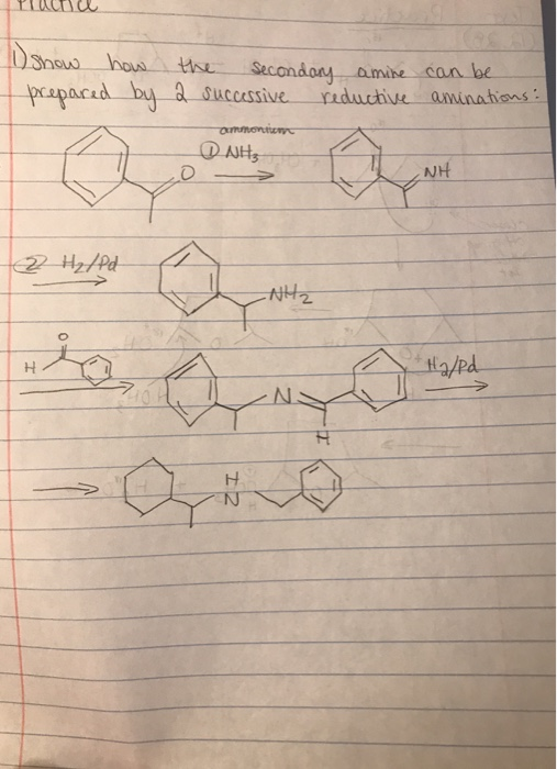 1) show how the secondary amine can be I prepared by a successive reductive aminations: ammonium D AHS Dit H /Pd -NH2 Ha/ed ܬ