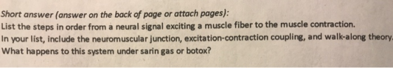 Short answer (answer on the back of page or attach pages): List the steps in order from a neural signal exciting a muscle fib