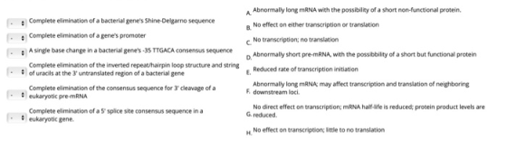 Complete elimination of a bacterial genes Shine-Delgarno sequence Complete elimination of a genes promoter A single base ch
