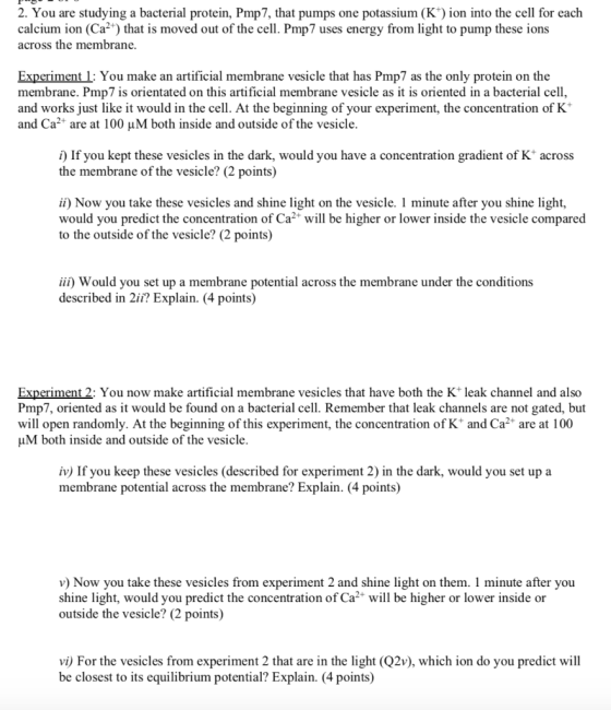 Pu010 2. You are studying a bacterial protein, Pmp 7, that pumps one potassium (Kt) ion into the cell for each calcium ion (C