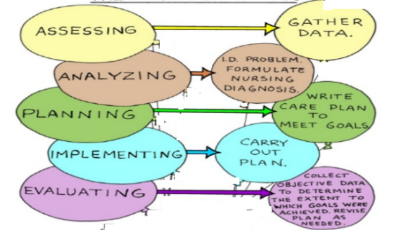GATHER DATA. ASSESSING I.D PROBLEM FORMULATE NURSING DIAGNOSIS ANALYZING WRITE 、( CARE PLAN PLANNIN G MEET GOAL CARRY OUT PLAN. IMPLEMENTING COLLECT 7OBJECTIVE DATA EVALUATING TO DE TERMINE WHICH GOALS WERE PLAN AS THE EXTENT To CHIEVED. REVISE NEEDED.