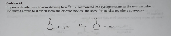 Problem #1 Propose a detailed mechanism showing how 180 is incorporated into cyclopentanone in the reaction below. Use curved