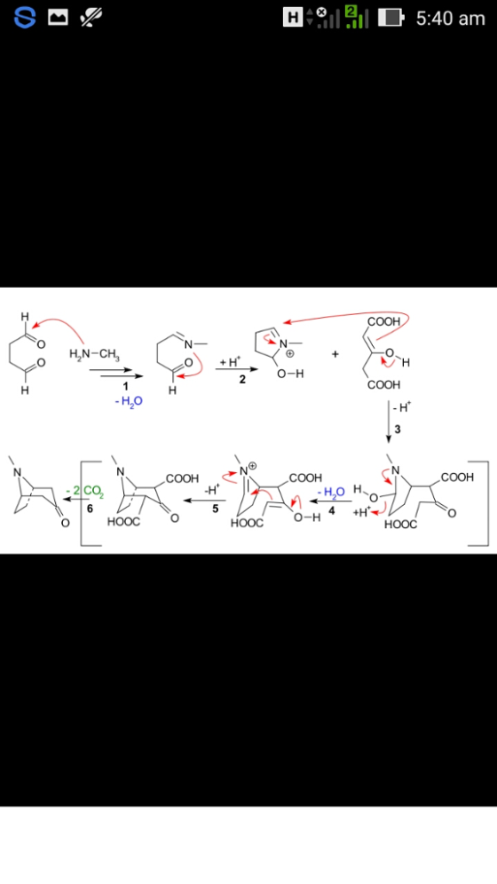 H 5:40 am H2N-CH COOH COOH COOH 4 +H O-H HOOC O HOOC HOOC