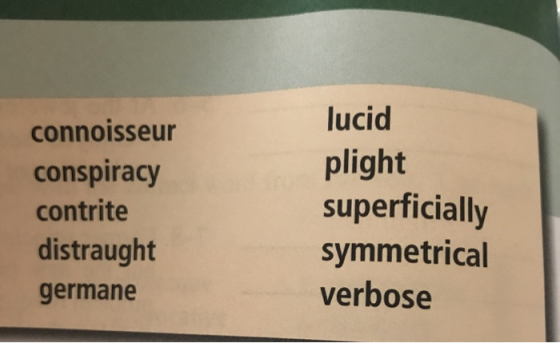 lucid connoisseur plight uperficially conspiracy contrite distraught symmetrical verbose germane