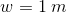 w = 1 m