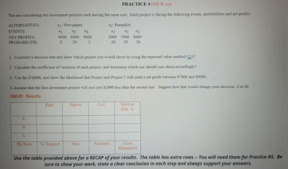 PRACTICE 4 DMUR only You are considering two investment projects each having the same cost. Each project is facing the follow
