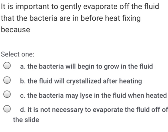 It is important to gently evaporate off the fluid that the bacteria are in before heat fixing because Select one: O a. the bacteria will begin to grow in the fluid O b. the fluid will crystallized after heating O c. the bacteria may lyse in the fluid when heated O d. it is not necessary to evaporate the fluid off of the slide