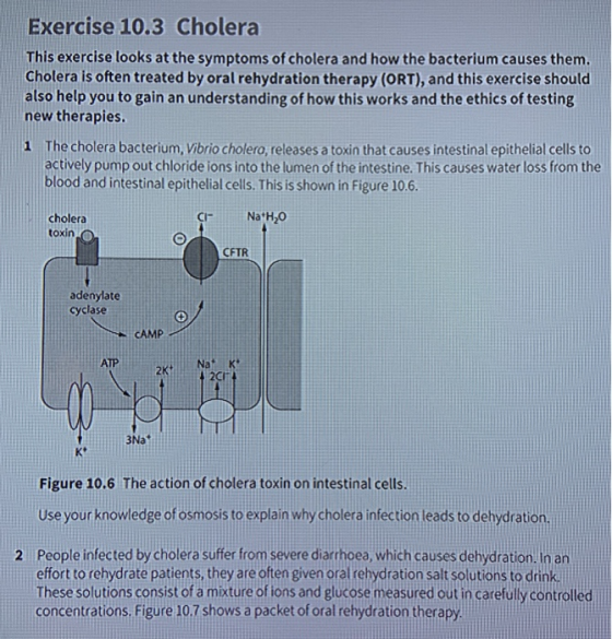 Exercise 10.3 Cholera This exercise looks at the symptoms of cholera and how the bacterium causes them. Cholera is often trea
