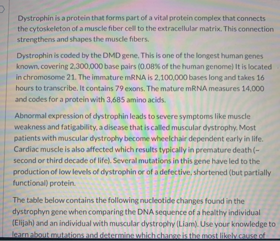 Dystrophin is a protein that forms part of a vital protein complex that connects the cytoskeleton of a muscle fiber cell to t
