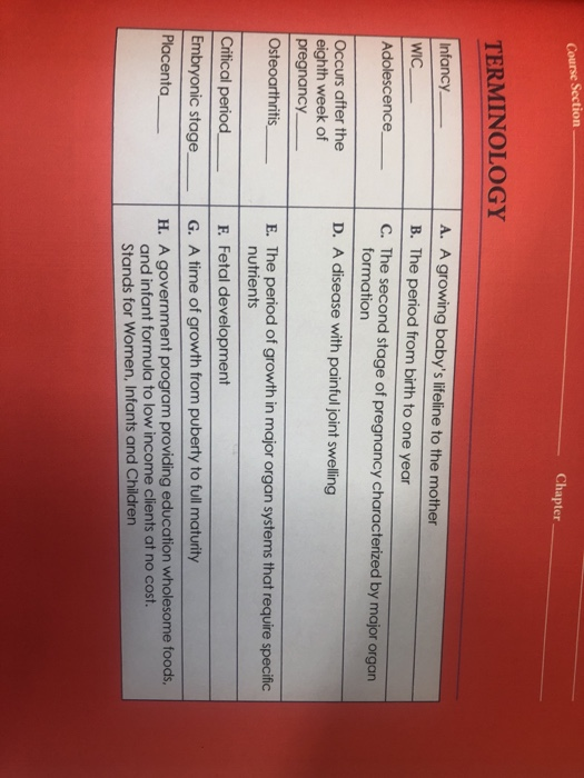 Course Section Chapter TERMINOLOGY A. A growing babys lifeline to the mother B. The period from birth to one year C. The sec