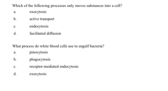 Which of the following processes only moves substances into a cell? exocytosis active transport endocytosis facilitated diffu