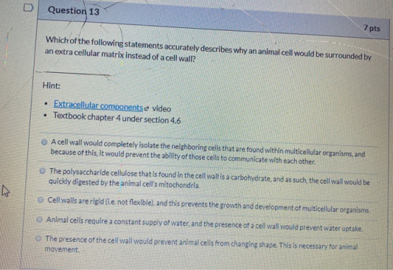 Question 13 7 pts Which of the following statements accurately describes why an animal cell would be surrounded by an extra c
