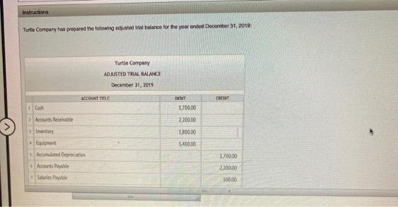 Instructions Turtle Company has prepared the following adjusted trial balance for the year onded December 31, 2019: Turtle Co