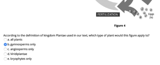 FERTILIZATION Eggs (N) Figure 4 According to the defrinition of kingdom Plantae used in our text, which type of plant would t