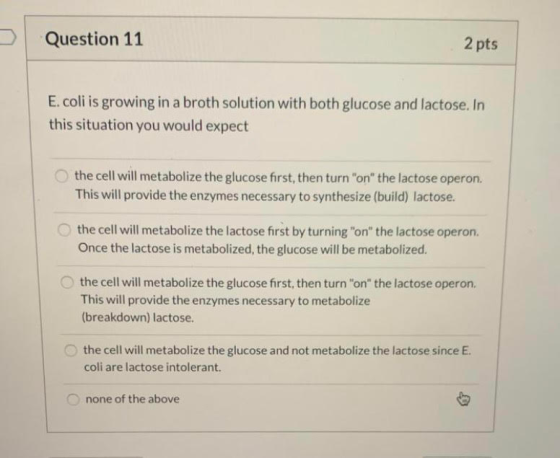 Question 11 2 pts E. coli is growing in a broth solution with both glucose and lactose. In this situation you would expect th
